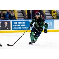 Florida Everblades forward Oliver Chau