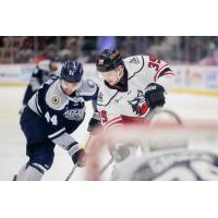 Worcester Railers forward Anthony Callin (left) vs. the Adirondack Thunder
