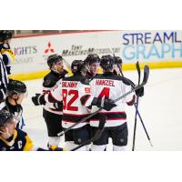 Adirondack Thunder gather following a goal
