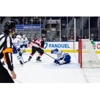 Belleville Senators right wing Xavier Bourgault scores against the Toronto Marlies