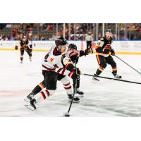 Rapid City Rush forward Ryan Kuzmich