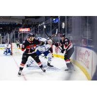 Belleville Senators battle the Toronto Marlies
