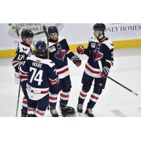 South Carolina Stingrays celebrate a goal
