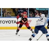 Grand Rapids Griffins left wing Eduards Tralmaks