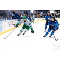 Florida Everblades forward Anthony Romano with the puck against the Jacksonville Icemen