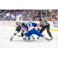 Adirondack Thunder face off with the Trois-Rivieres Lions