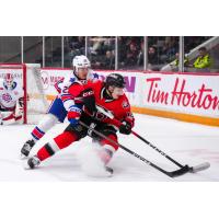 Belleville Senators left wing Jamieson Rees vs. the Rochester Americans