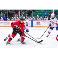 Belleville Senators defenceman Tomas Hamara vs. the Rochester Americans