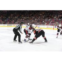 Rapid City Rush versus the Cincinnati Cyclones