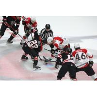 Rapid City Rush face off with the Cincinnati Cyclones