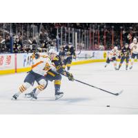 Atlanta Gladiators battle the Greeville Swamp Rabbits