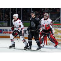 Peterborough Petes left wing Leon Kolarik vs. vs. the Niagara IceDogs