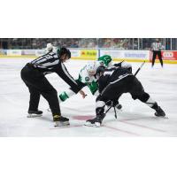 Texas Stars' Kole Lind versus Ontario Reign's Kenny Connors