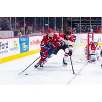 Spokane Chiefs' Owen Martin in action