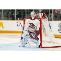 Peterborough Petes goaltender Masen Johnston
