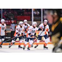 Flint Firebirds on the ice