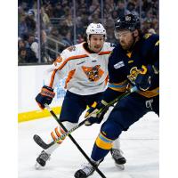 Greenville Swamp Rabbits forward Ben Poisson (left)