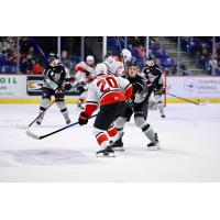 Vancouver Giants battle the Prince George Cougars