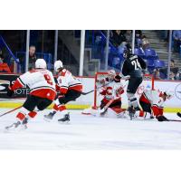 Vancouver Giants centre Sam Charko vs. the Prince George Cougars