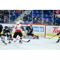 Vancouver Giants goaltender Burke Hood makes a stop against the Prince George Cougars