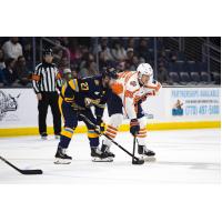 Greenville Swamp Rabbits right wing John Parker-Jones (right) vs. the Atlanta Gladiators