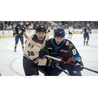 Toledo Walleye forward Denis Smirnov (right)