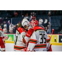Grand Rapids Griffins congratulate goaltender Michal Postava on his shutout