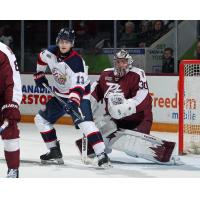 Peterborough Petes goaltender Easton Rye vs. the Saginaw Spirit
