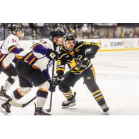 Reading Royals' Brandon Saigeon battles Wheeling Nailers' Cole Tymkin