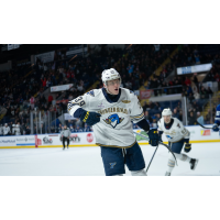 Springfield Thunderbirds' Matt Luff