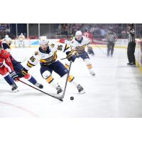 Atlanta Gladiators' Ryan Francis in action