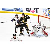 Wheeling Nailers look for a scoring opportunity against the Reading Royals