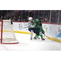 Florida Everblades fight to control the puck against the South Carolina Stingrays