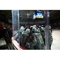 South Carolina Stingrays celebrate their overtime goal