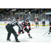 Belleville Senators centre Garrett Pilon vs. the Springfield Thunderbirds