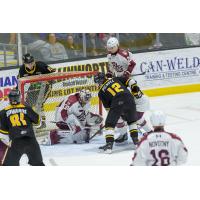 Peterborough Petes goaltender Easton Rye makes a stop vs. the Sarnia Sting