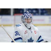 Penticton Vees' Ethan McCallum