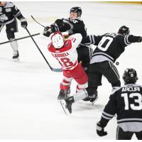 Allen Americans' Harrison Blaisdell battles Idaho Steelheads' Liam Malmquist