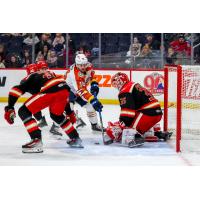 Grand Rapids Griffins goaltender Michal Postava vs. the Manitoba Moose