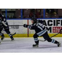 Penticton Vees left wing Brady Birnie