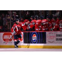 South Carolina Stingrays bench congratulates forward Ludwig Persson