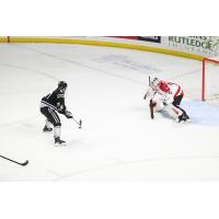 Allen Americans goaltender Jackson Parsons vs. the Idaho Steelheads
