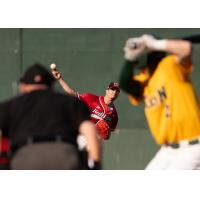 Fargo-Moorhead RedHawks vs. North Dakota State University