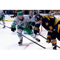 Florida Everblades defenseman Kurtis Henry (left) vs. the Atlanta Gladiators