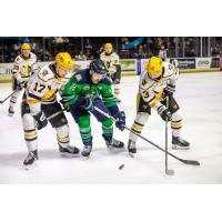 Wheeling Nailers Defenseman Bogdans Hodass (left) and forward Logan Pietila vs. the Maine Mariners