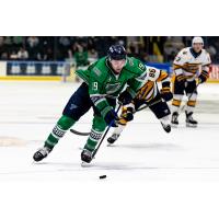 Florida Everblades defenseman Zach Berzolla