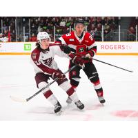 Peterborough Petes centre Adam Levac (left) vs. the Ottawa 67's