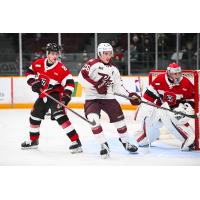 Peterborough Petes centre Aiden Young vs. the Ottawa 67's