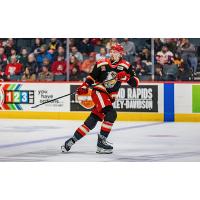 Grand Rapids Griffins defenseman Justin Holl