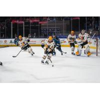 Wheeling Nailers forward Craig Armstrong brings the puck up ice